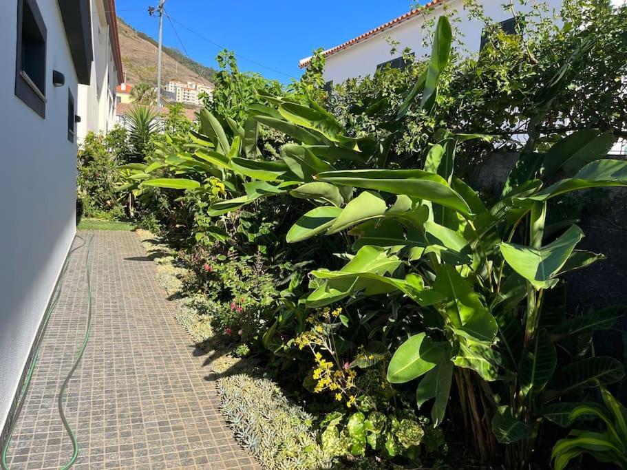 Moradia Com Piscina No Canico Exterior photo